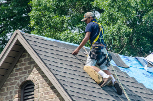 Quick and Trustworthy Emergency Roof Repair Services in Lake Clarke Shores, FL